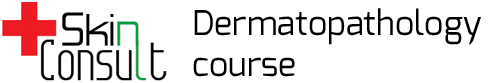 skinconsult-logo